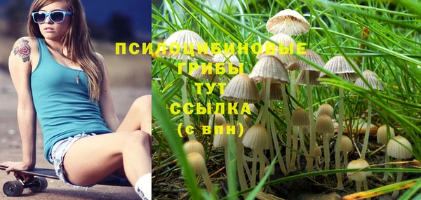 2c-b Беломорск