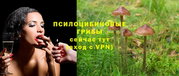 2c-b Беломорск