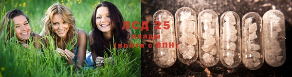 2c-b Беломорск