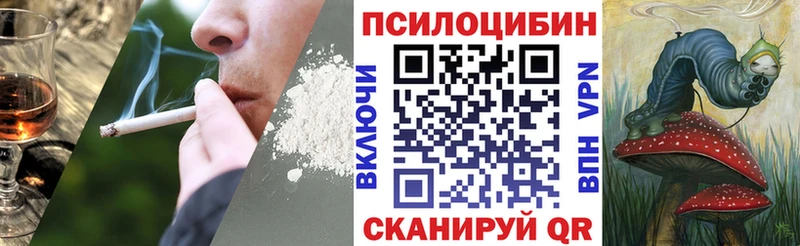где купить наркоту blacksprut как войти Галлюциногенные грибы GOLDEN TEACHER Дагестанские Огни